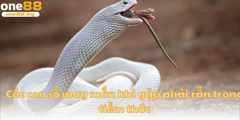 Các con số may mắn khi gặp phải rắn trong tiềm thức