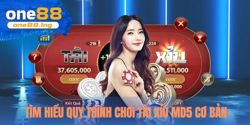 Tìm hiểu quy trình chơi tài xỉu MD5 cơ bản