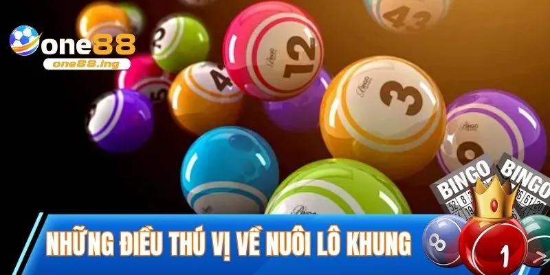 Khám phá những điều thú vị về nuôi lô khung
