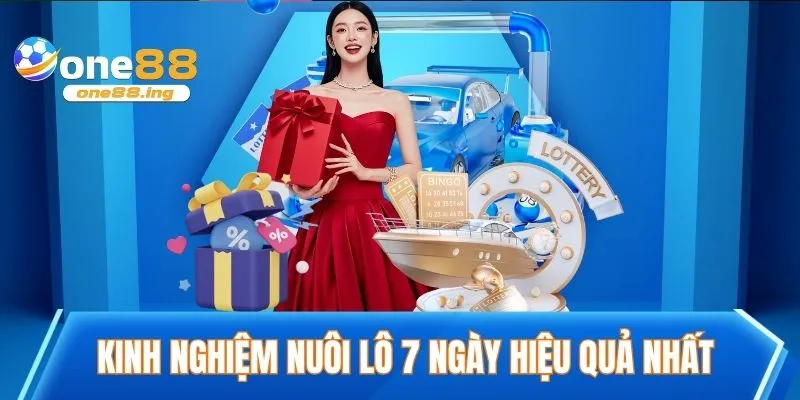 Kinh nghiệm nuôi lô 7 ngày hiệu quả nhất cho anh em mới